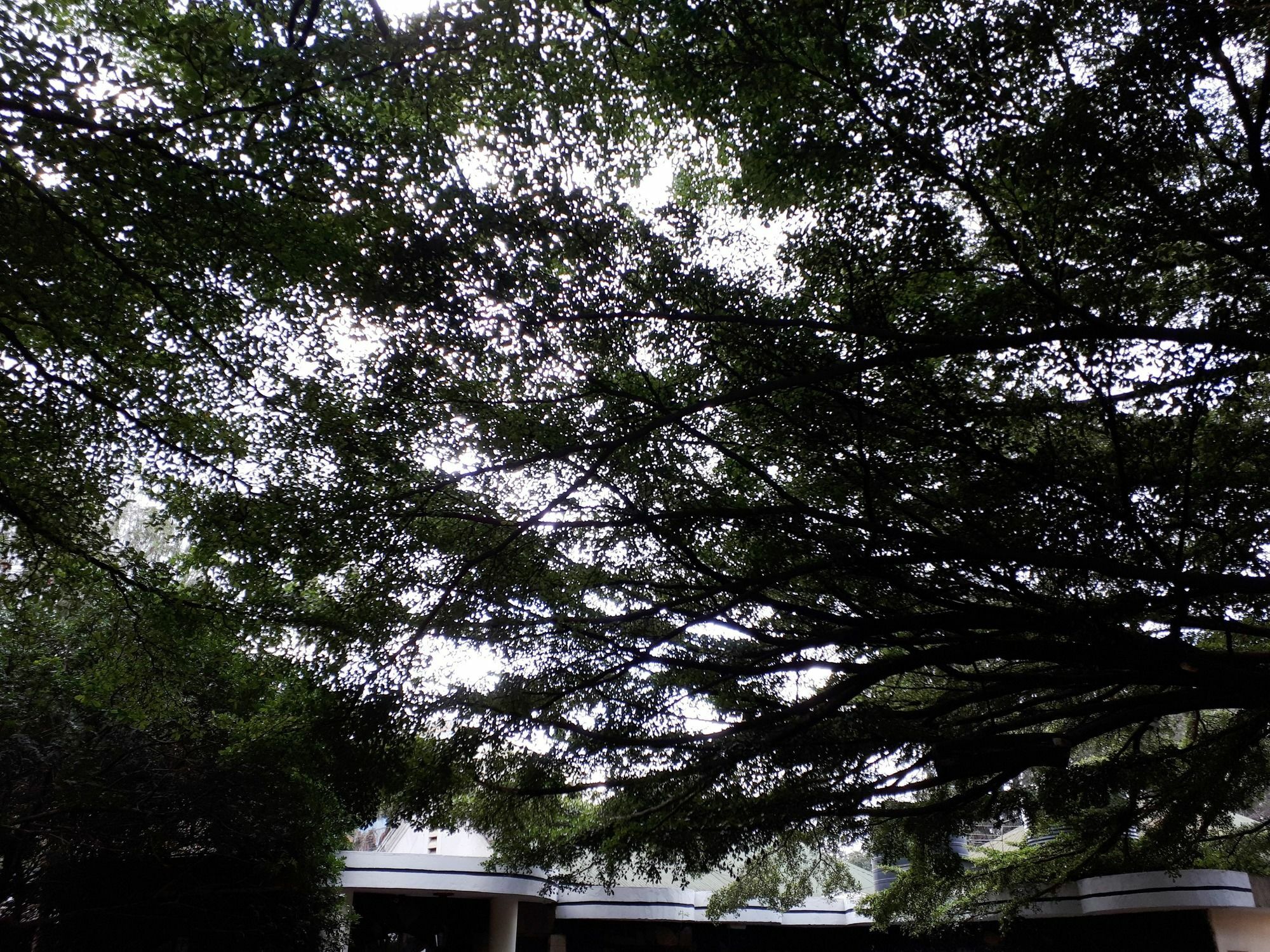 Bermuda Garden Hotel Nairobi Eksteriør bilde
