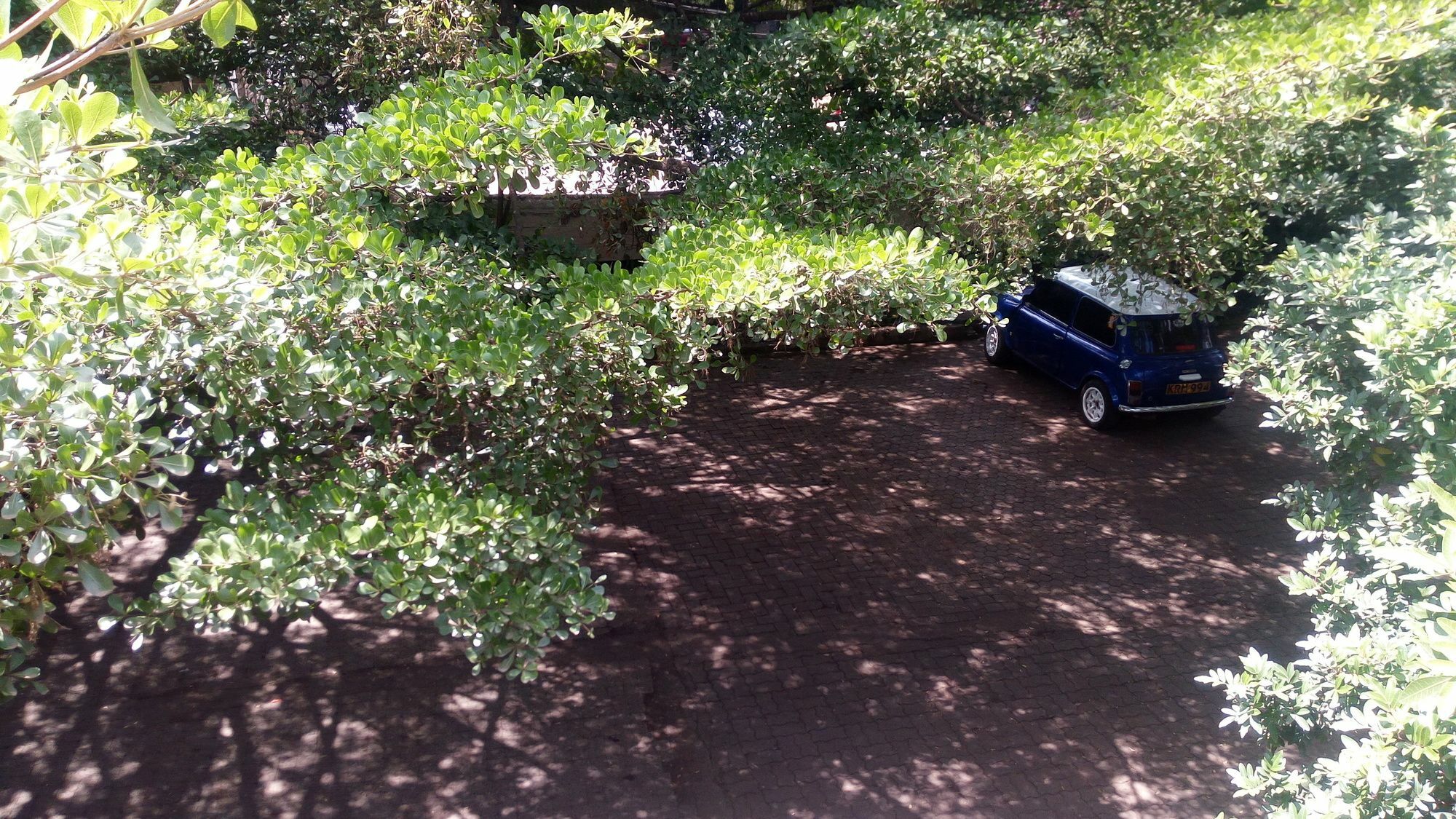 Bermuda Garden Hotel Nairobi Eksteriør bilde